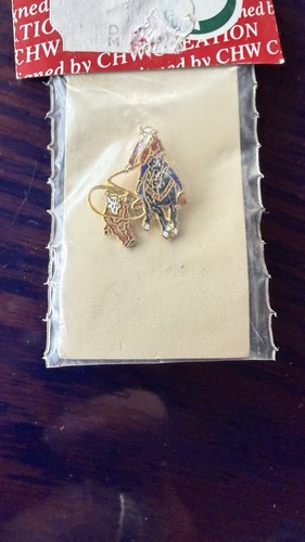 Anstecker pin neu rodeo - pin,
