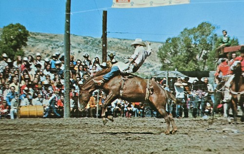 Western rodeo salt lake - salt, city